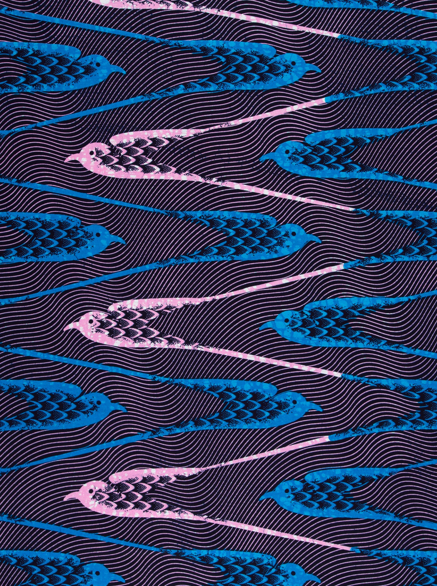 Wax Hollandais | VLA0967.019