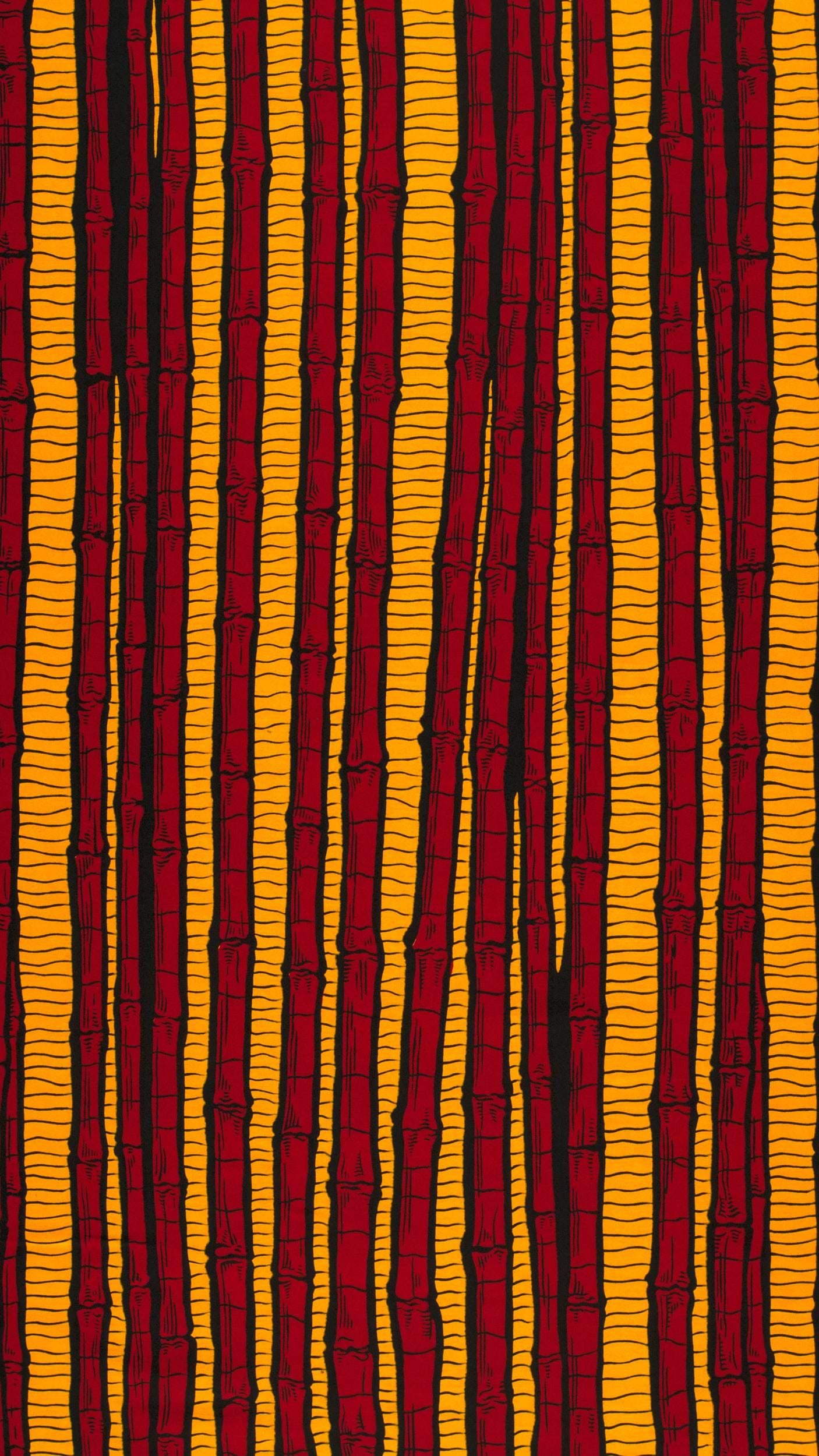 Wax Hollandais | VLH1214.026 | Sugar cane, Walking stick