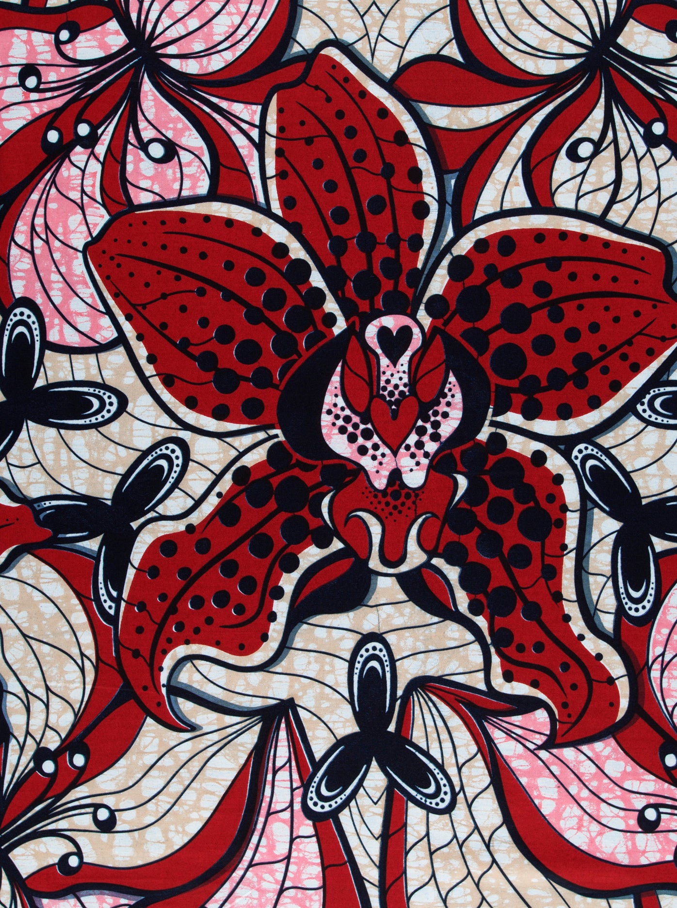 Vibrant red black polka-dotted orchid super-wax vls6516.010