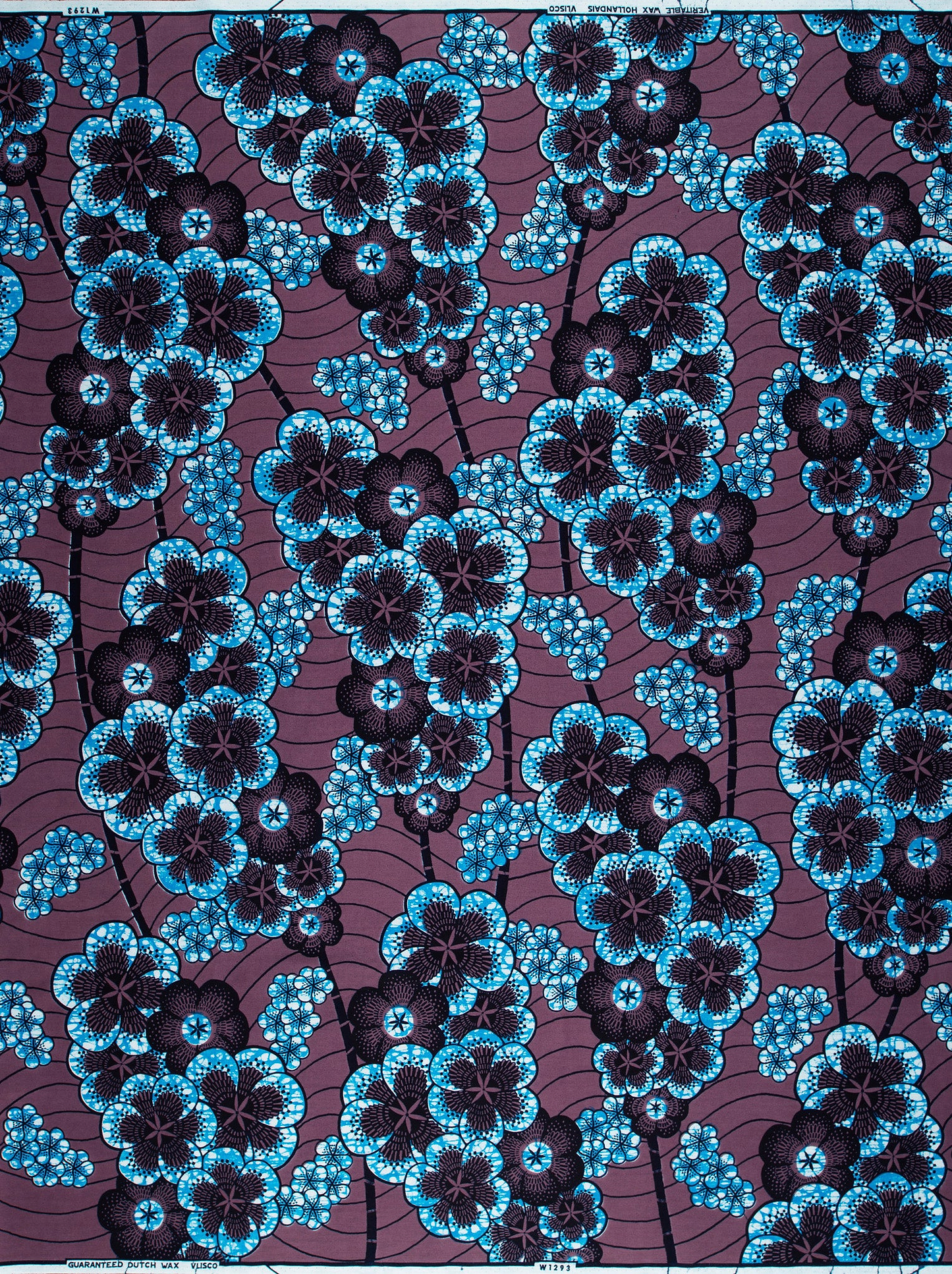 Wax Hollandais | VLW1293.009
