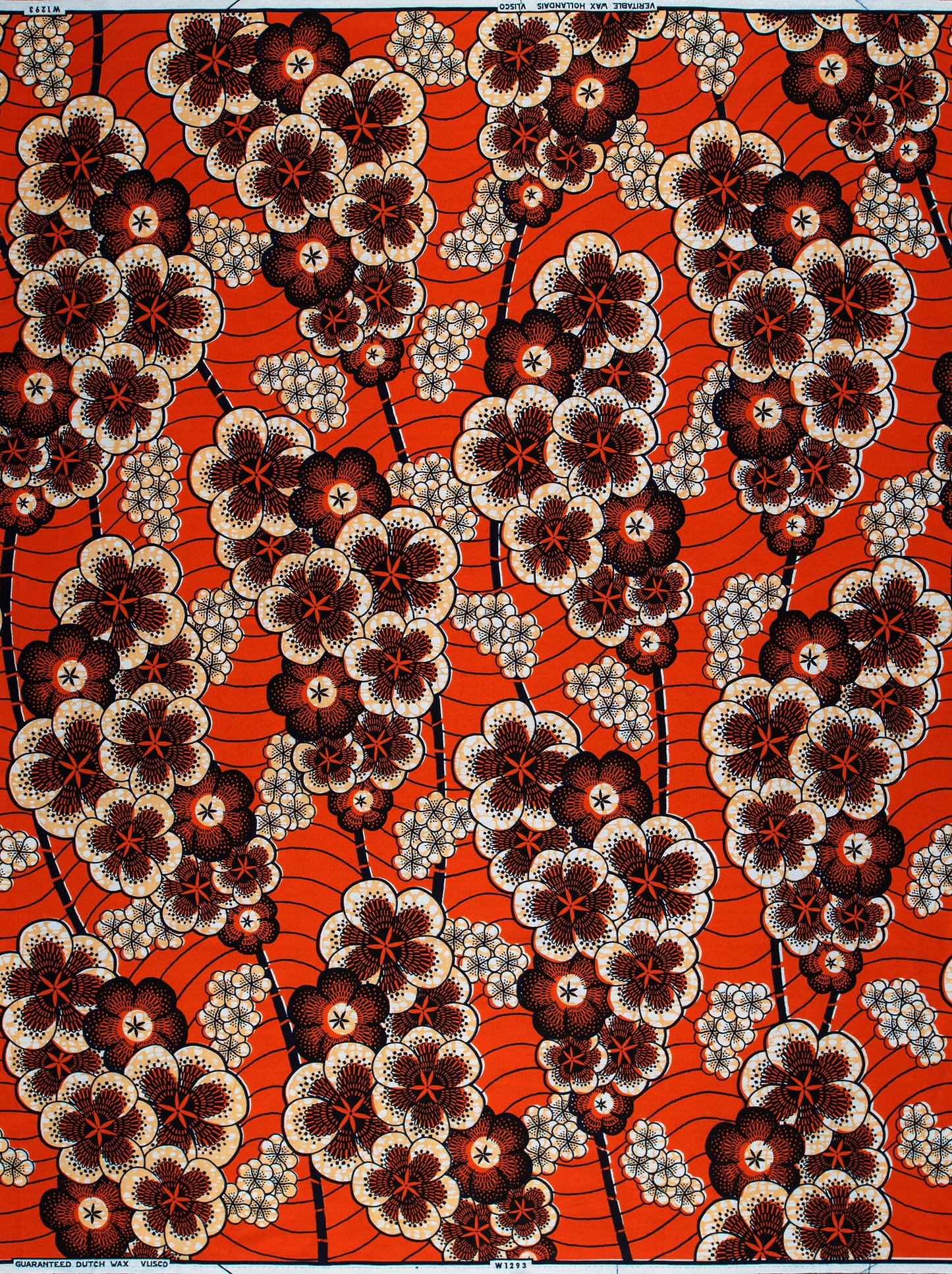 Wax Hollandais | VLW1293.010