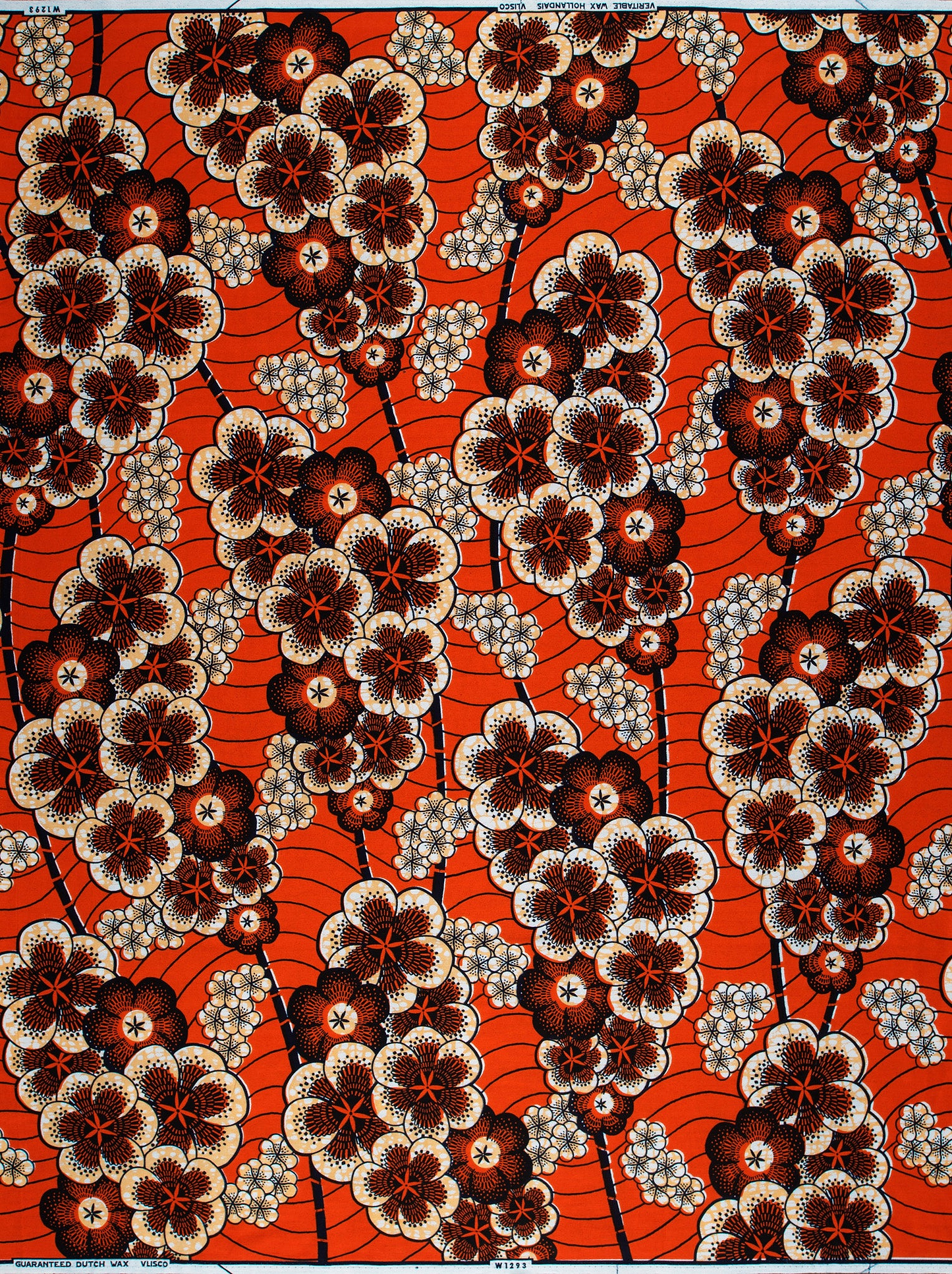Wax Hollandais | VLW1293.010