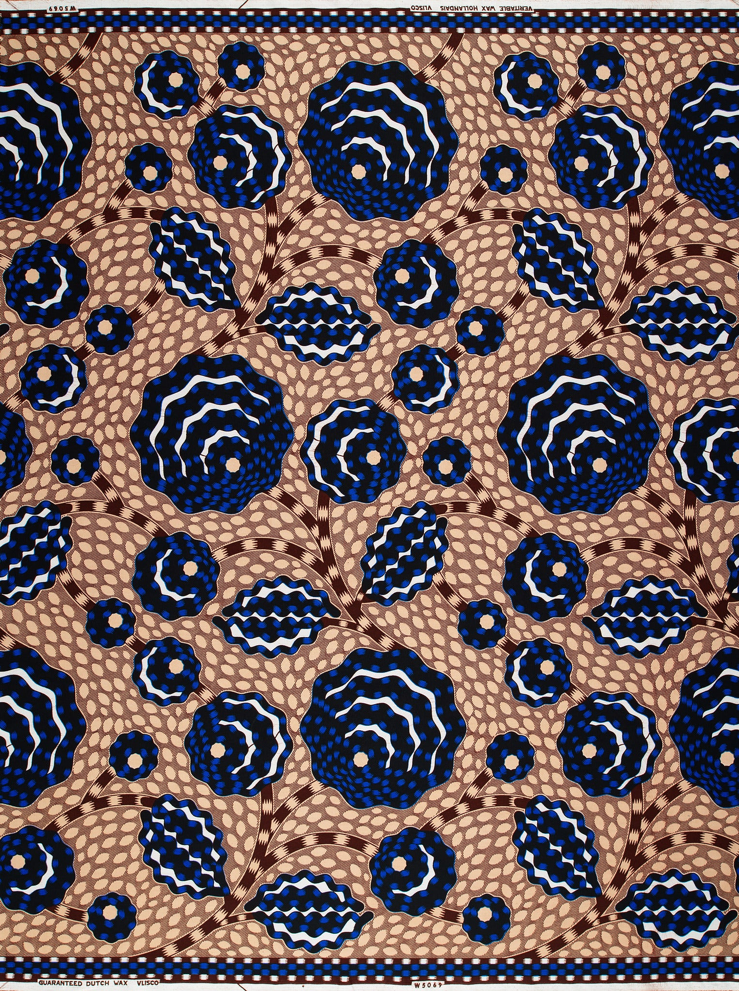 Wax Hollandais | VLW5069.005 | Dynamic flower