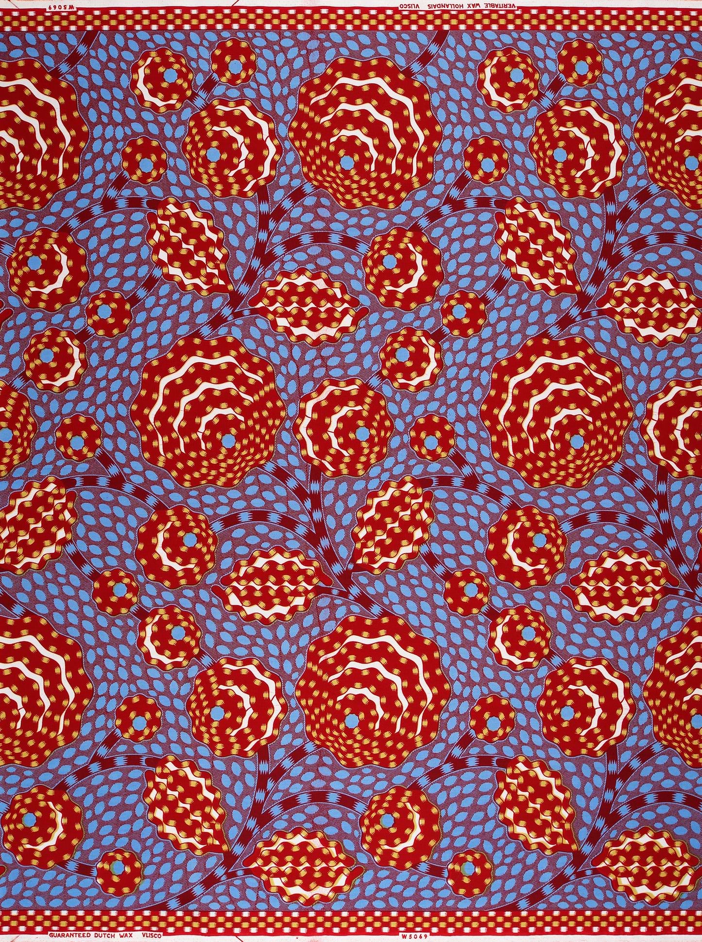 Wax Hollandais | VLW5069.006 | Dynamic flower