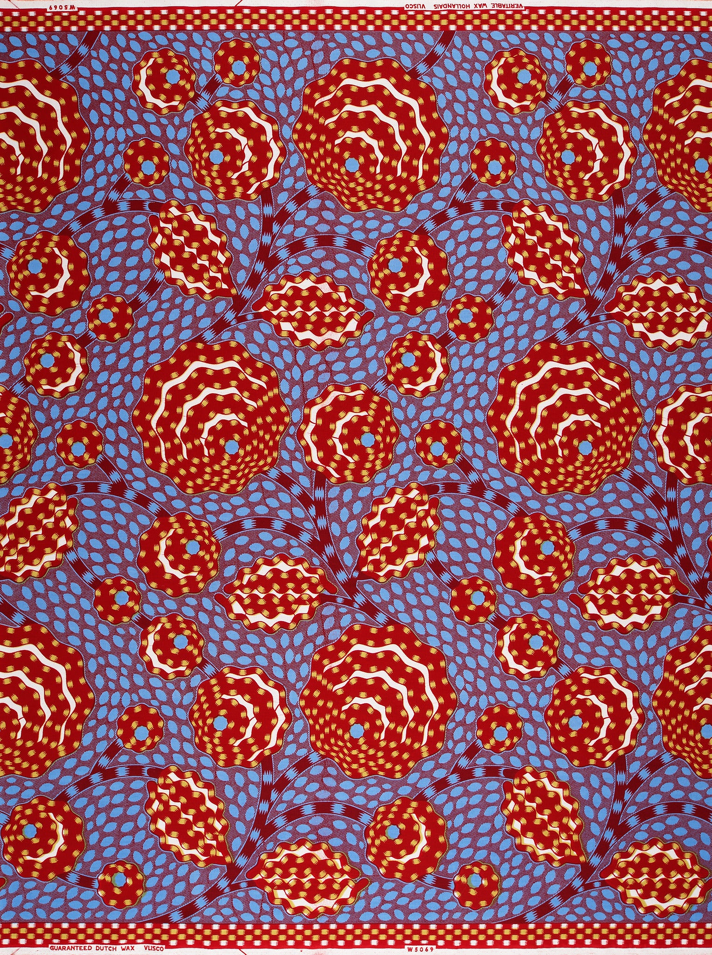 Wax Hollandais | VLW5069.006 | Dynamic flower