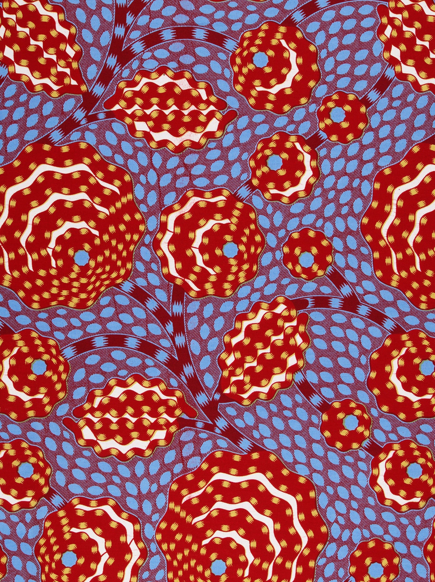 Wax Hollandais | VLW5069.006 | Dynamic flower