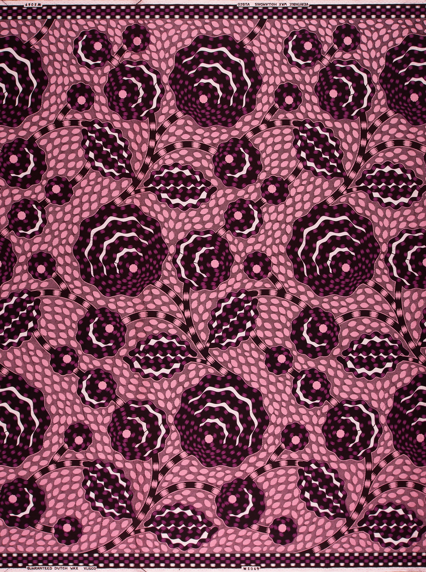 Wax Hollandais | VLW5069.009 | Dynamic flower