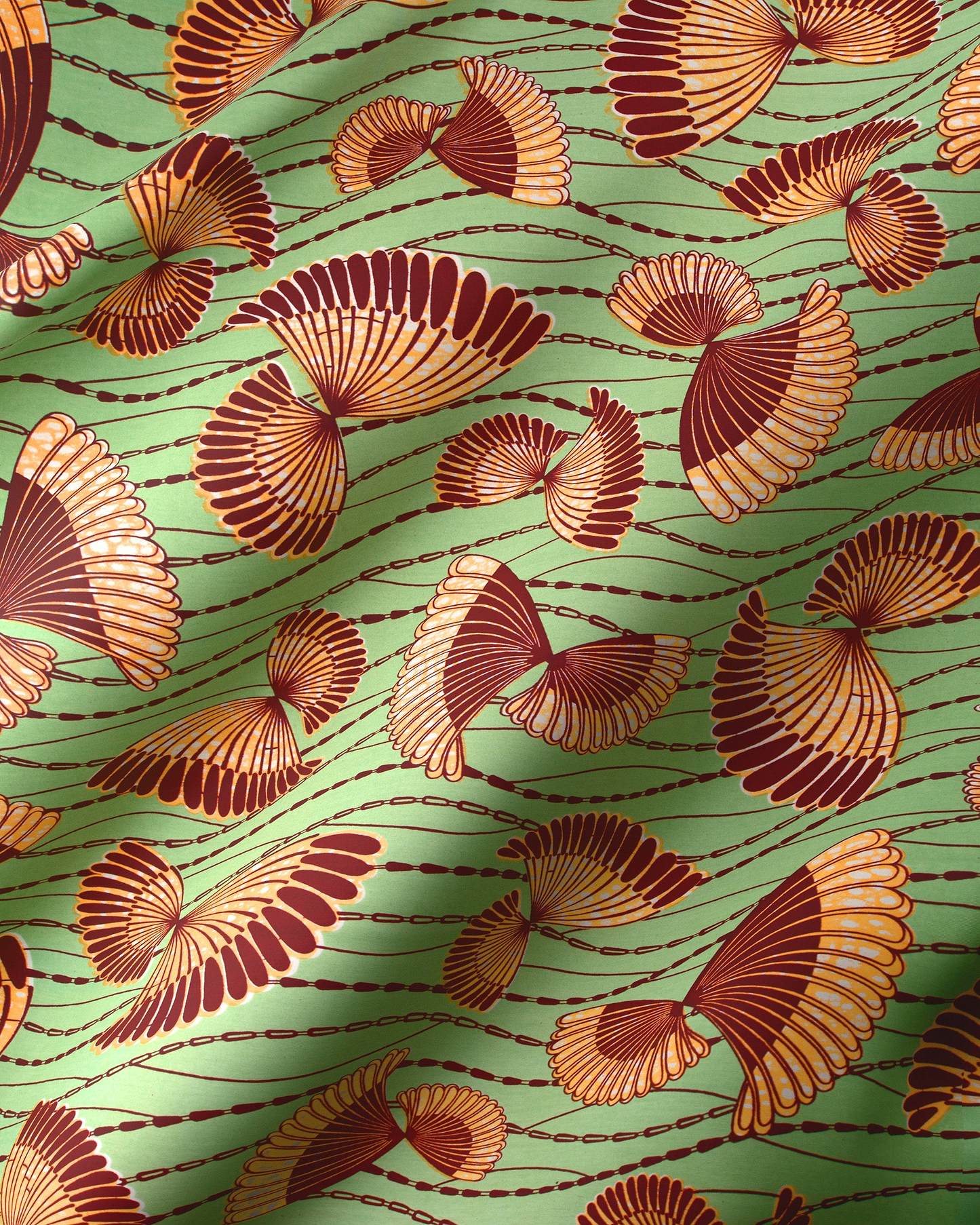 Wax Hollandais | VLW5154.003