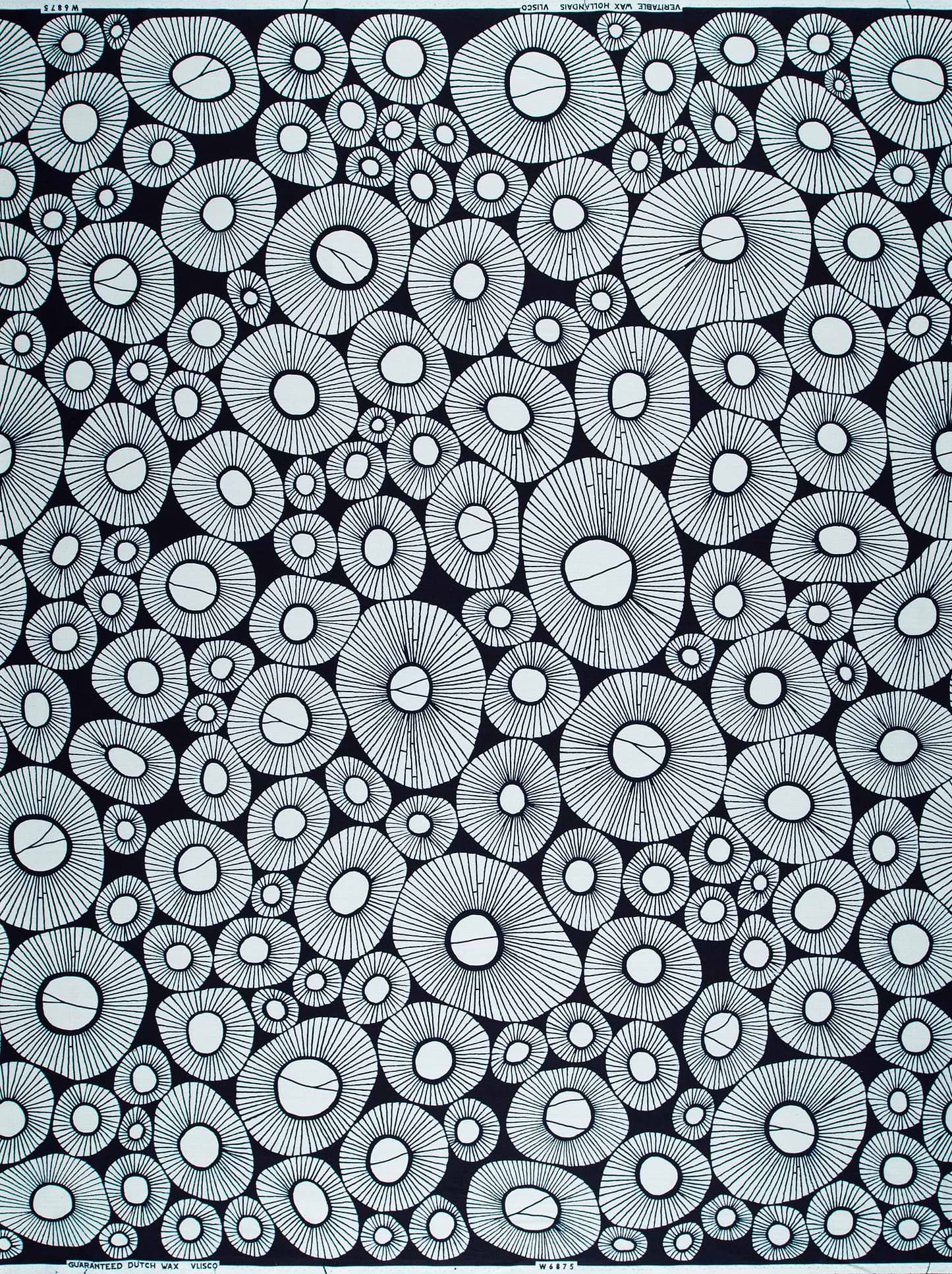 Wax Poplin | VLW6875.021