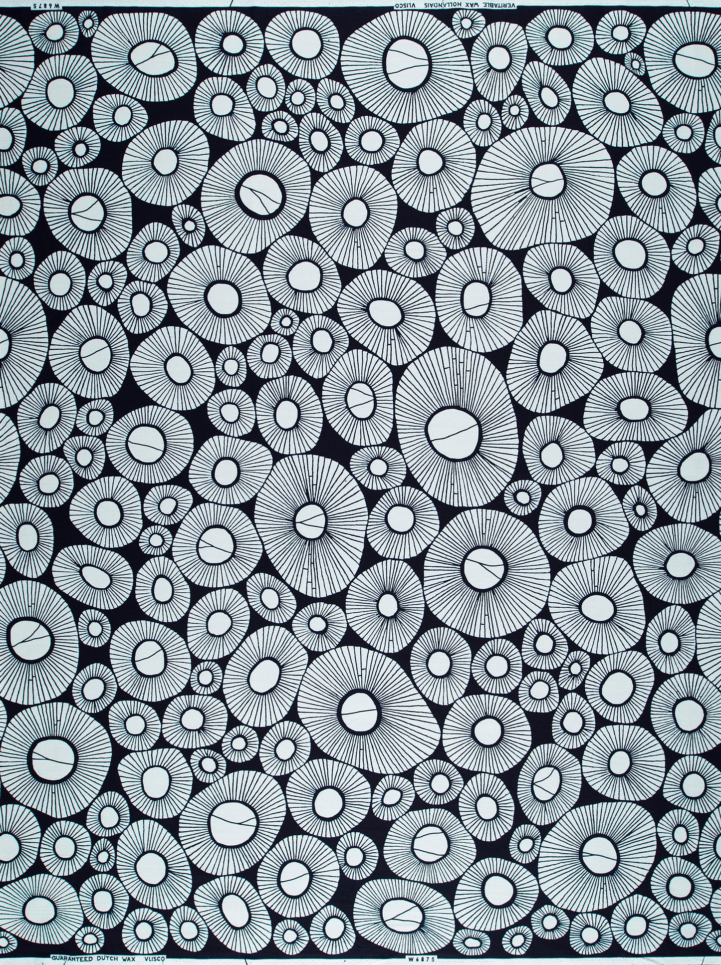 Wax Poplin | VLW6875.021