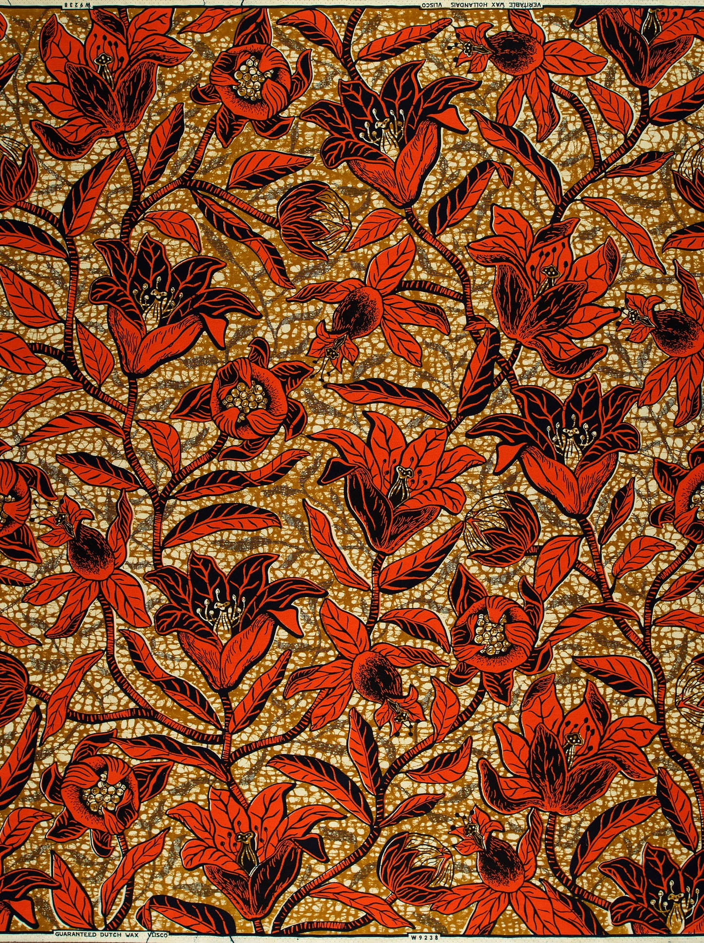Wax Hollandais | VLW9238.008