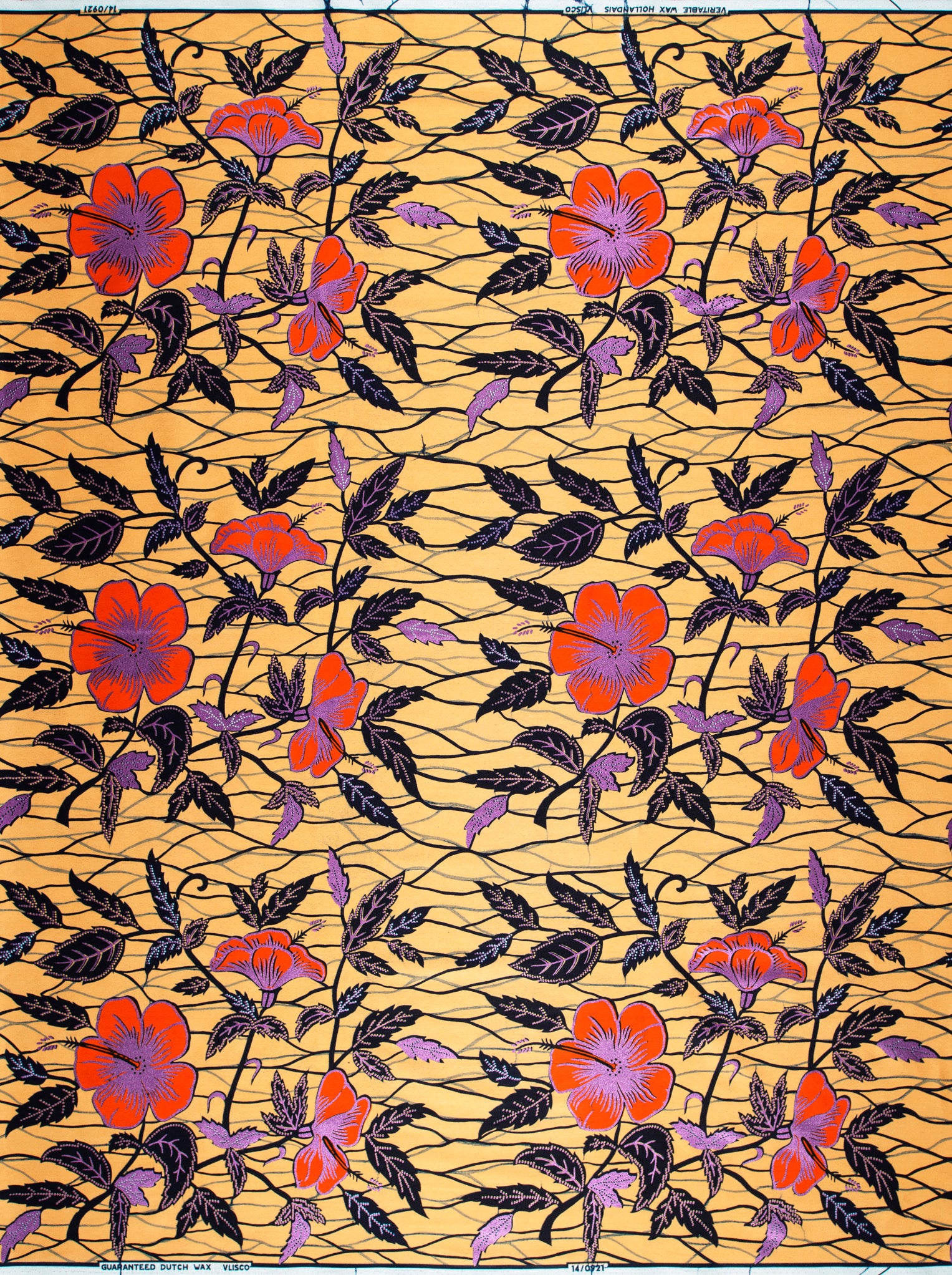Vibrant orange purple hibiscus flowers wax hollandais vl00921.282
