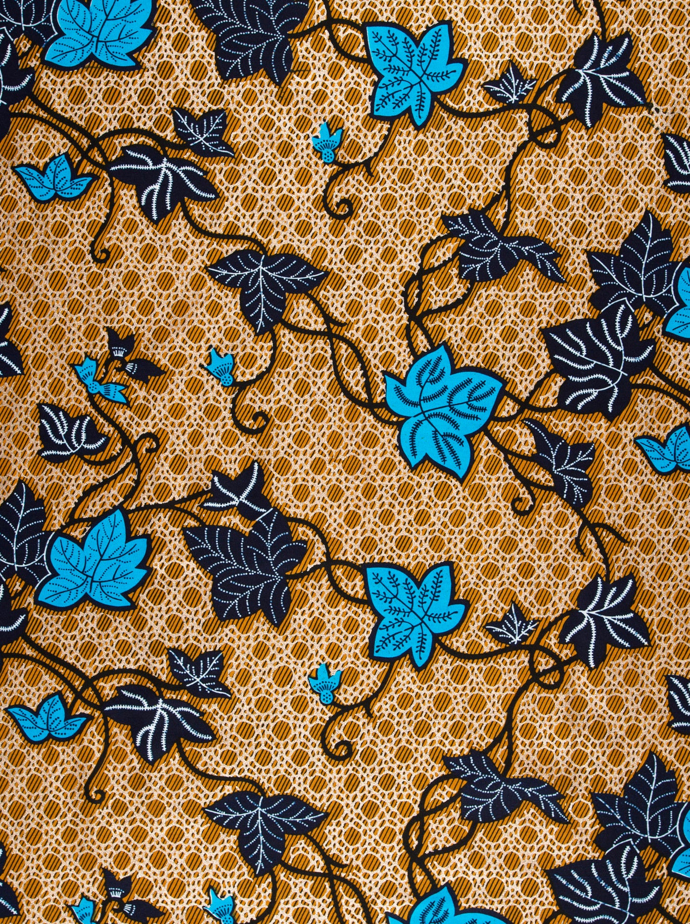 Wax Hollandais | VL01092.253 | Rose Gold Embellished