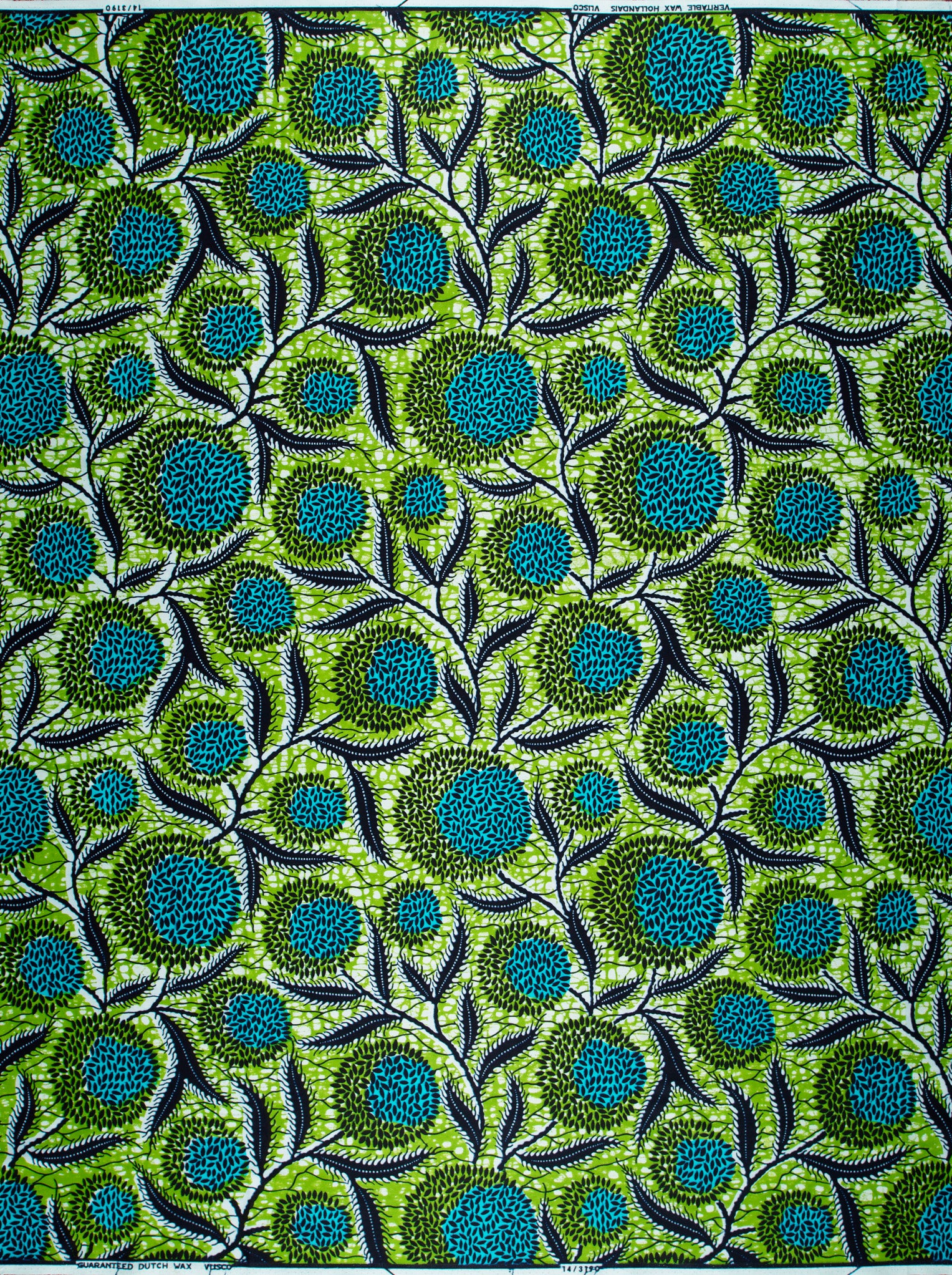 Wax Hollandais | VL03190.020