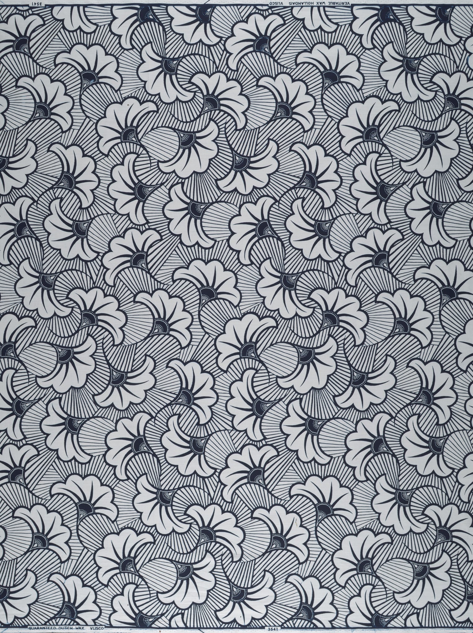 Wax Poplin | VL03541.316 | Rolls Royce