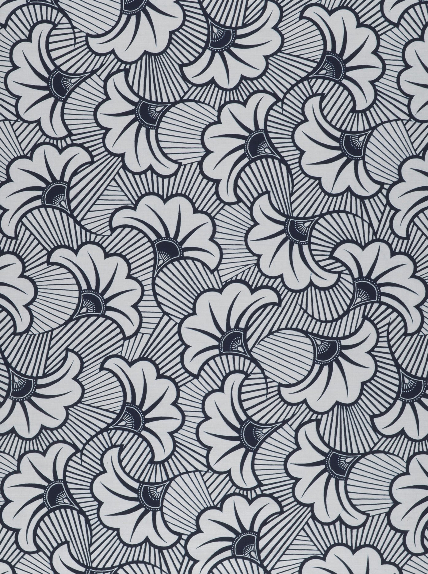 Wax Poplin | VL03541.316 | Rolls Royce