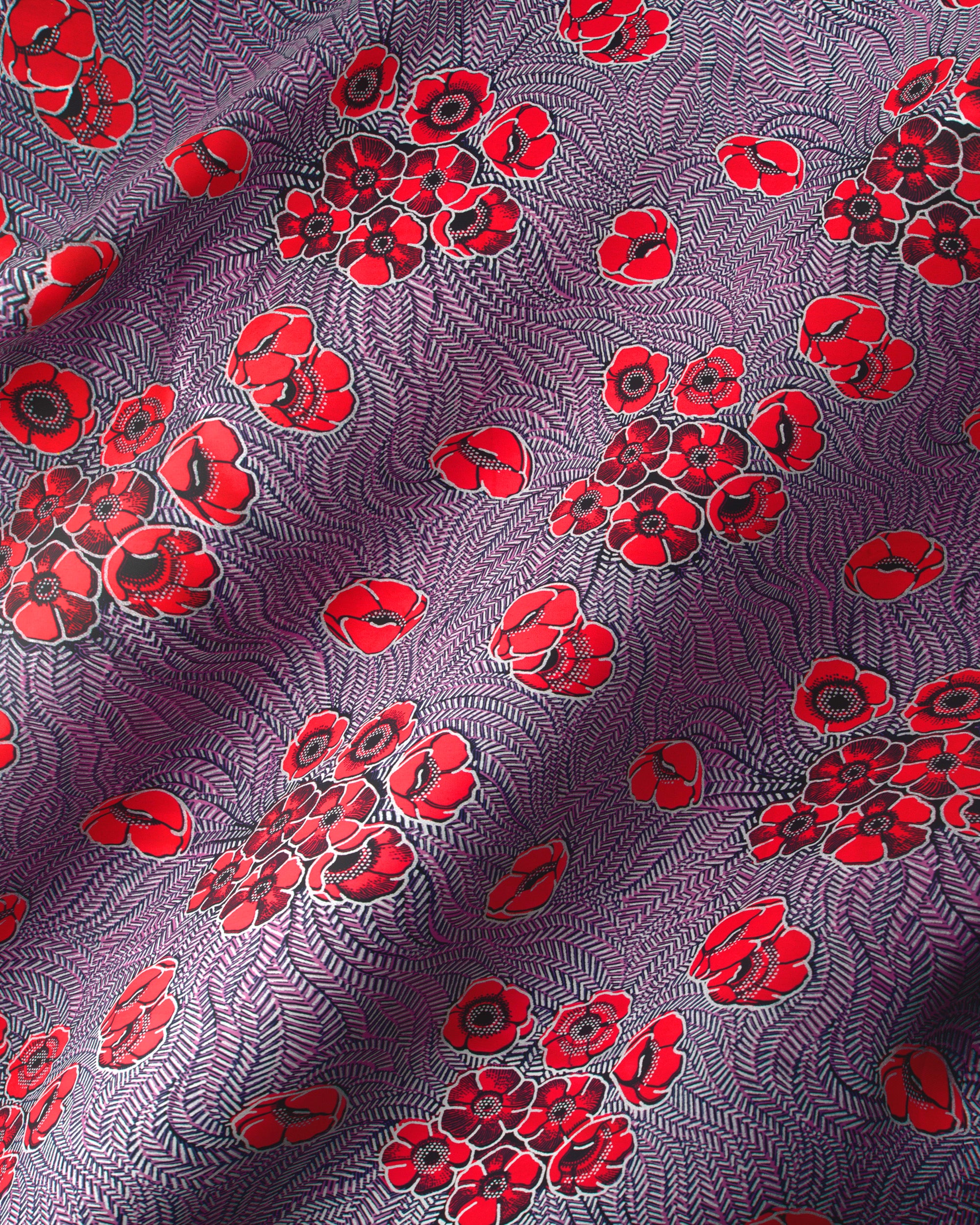 Vibrant red poppy flowers black wax hollandais vl08621.019