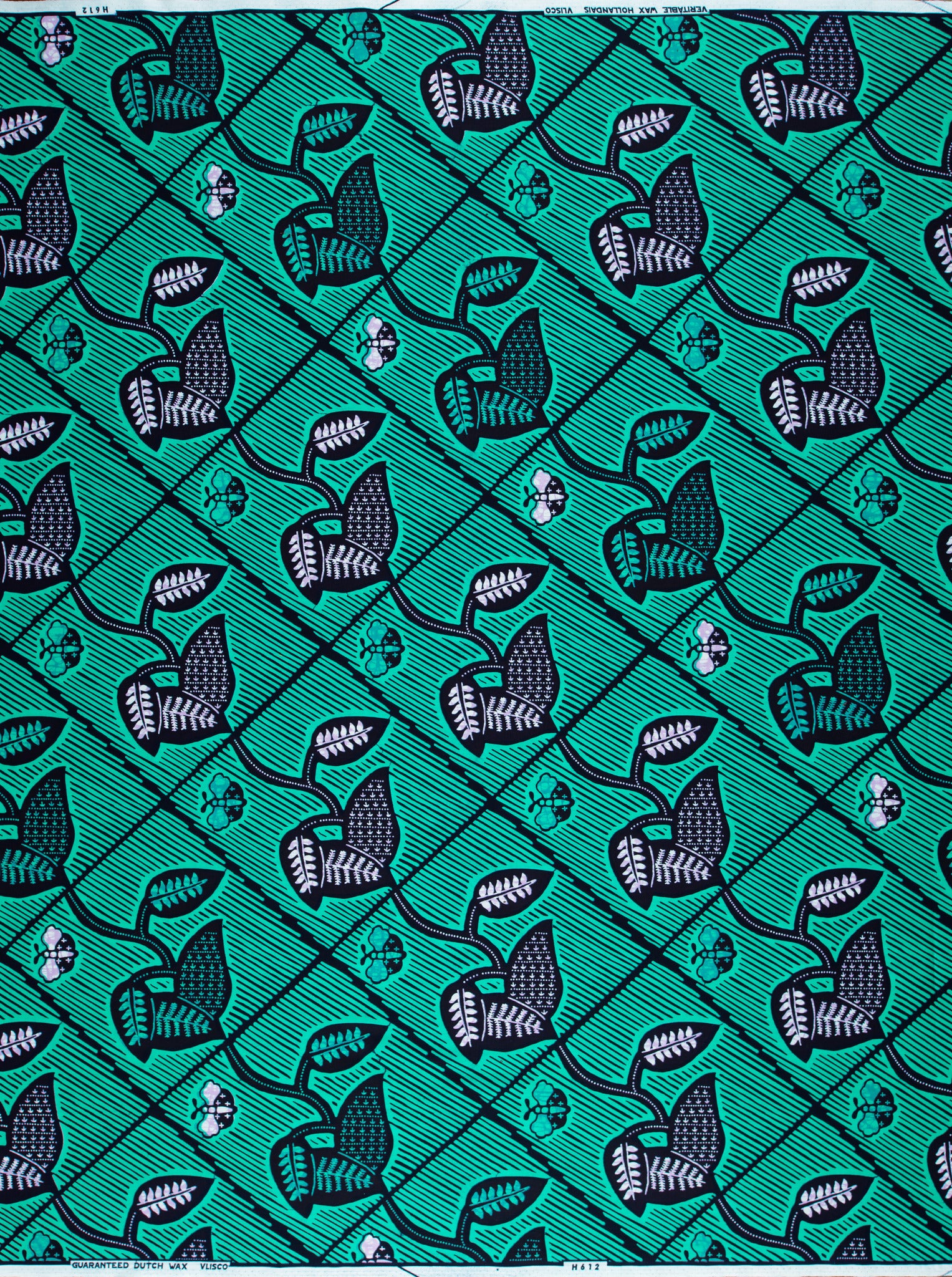 Wax Hollandais | VL0H612.012