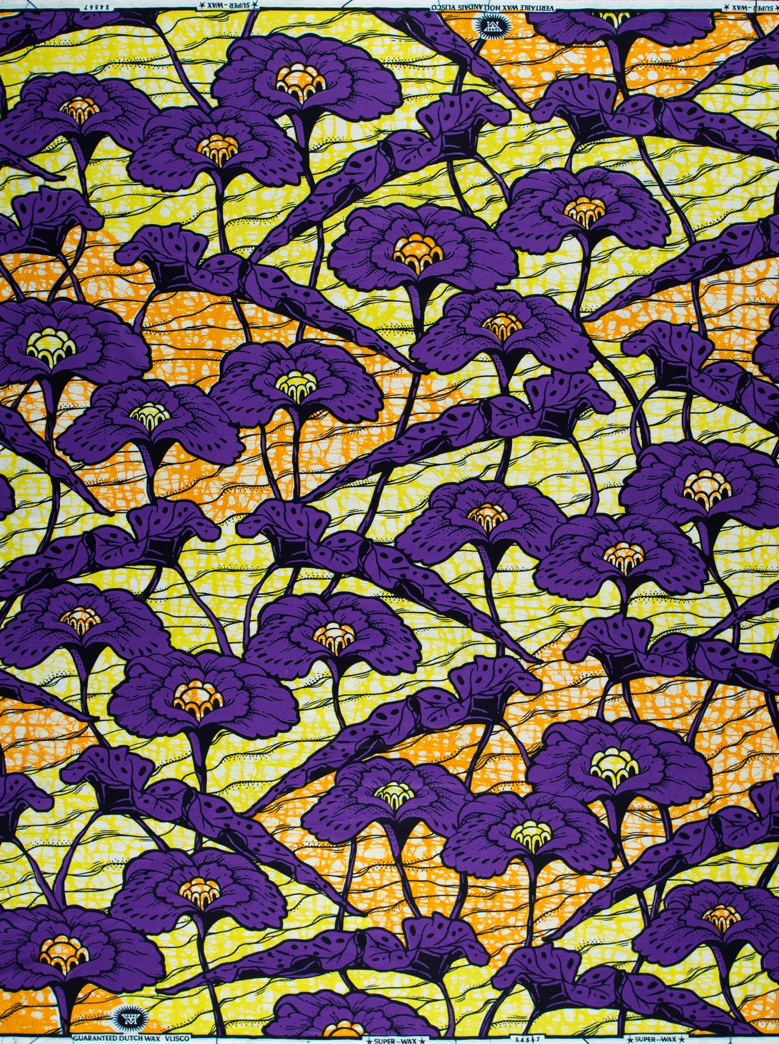 Vibrant purple flowers yellow centers super-wax vls4567.004