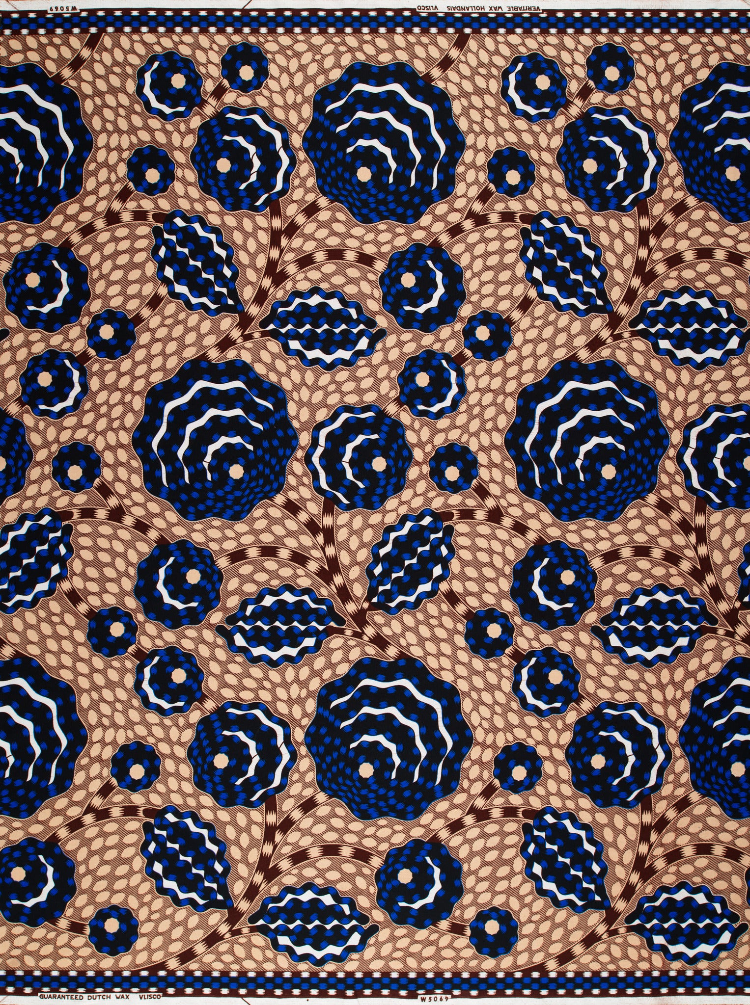 Wax Hollandais | VLW5069.005 | Dynamic flower