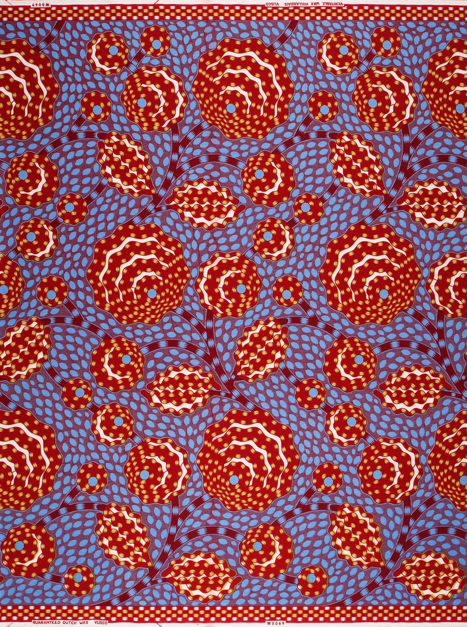 Wax Hollandais | VLW5069.006 | Dynamic flower