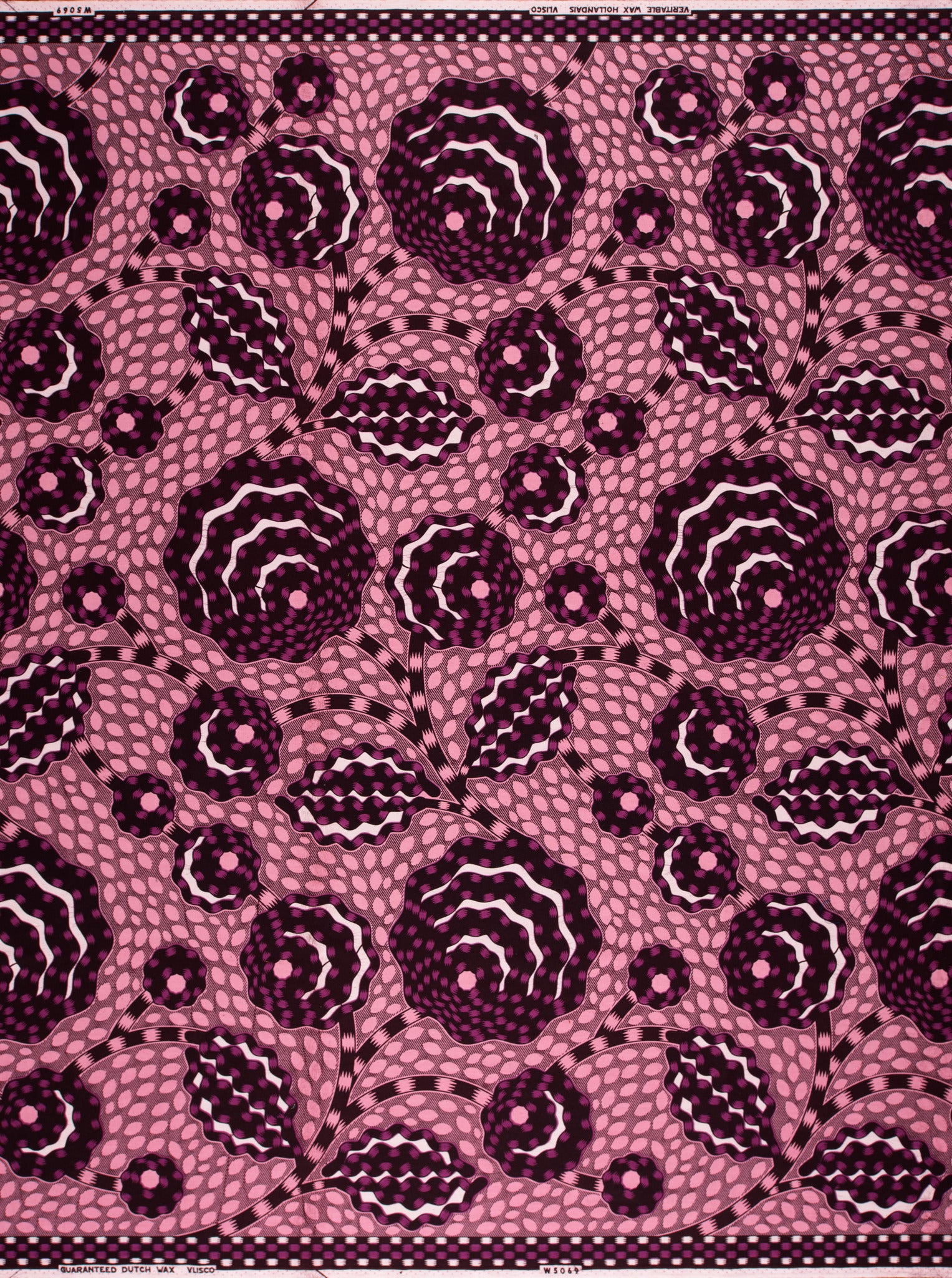 Wax Hollandais | VLW5069.009 | Dynamic flower