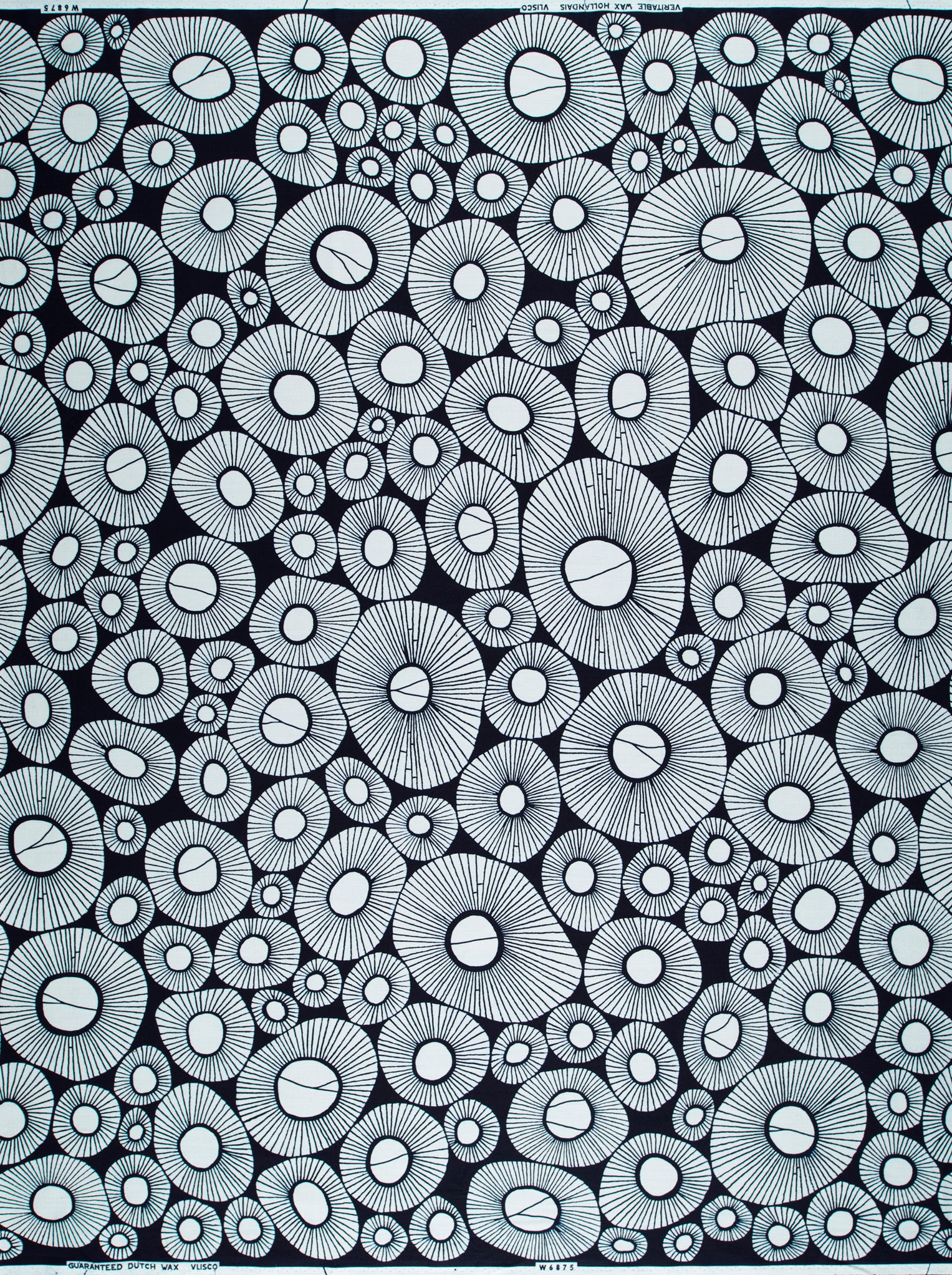 Wax Poplin | VLW6875.021