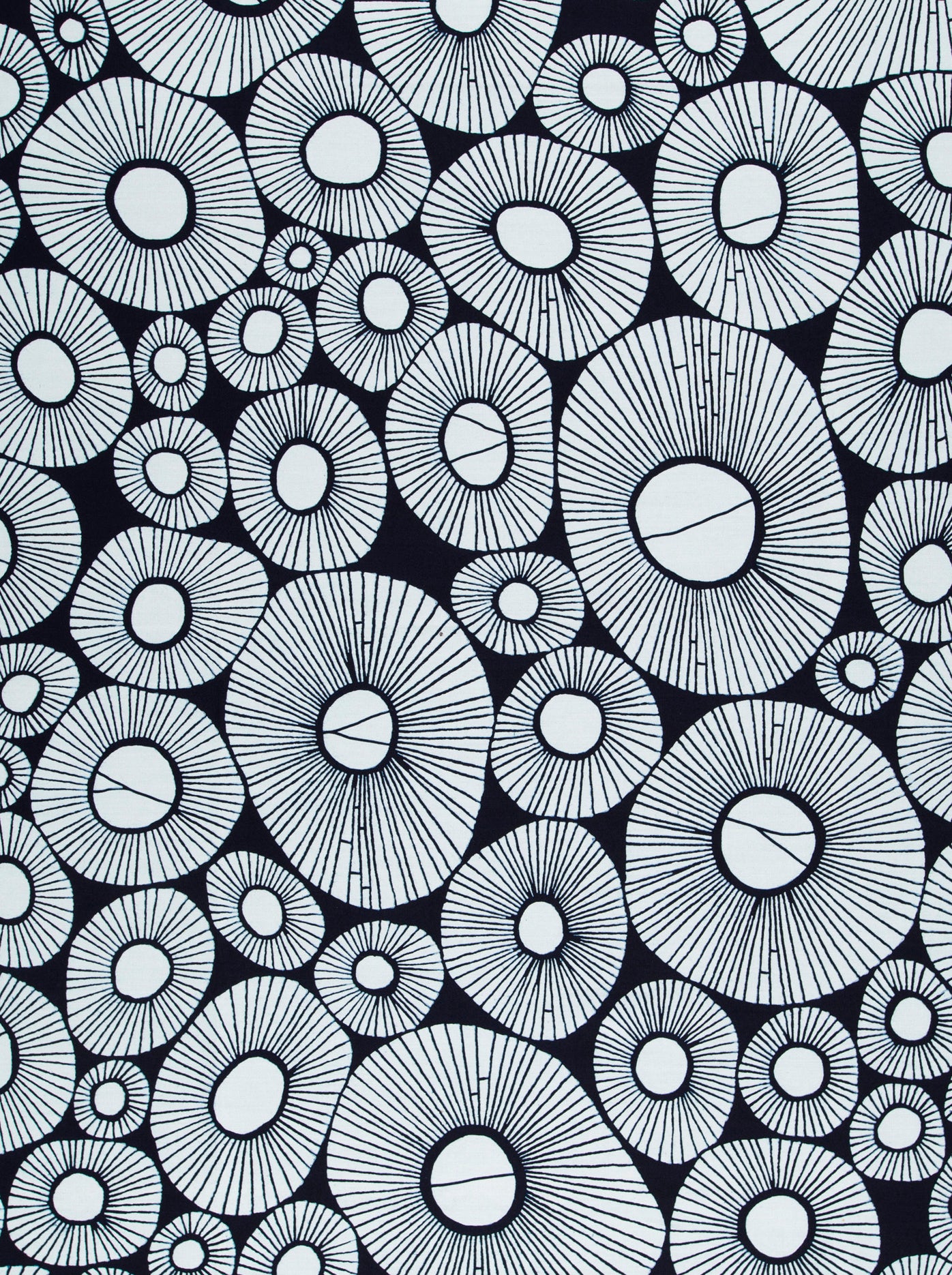 Wax Poplin | VLW6875.021