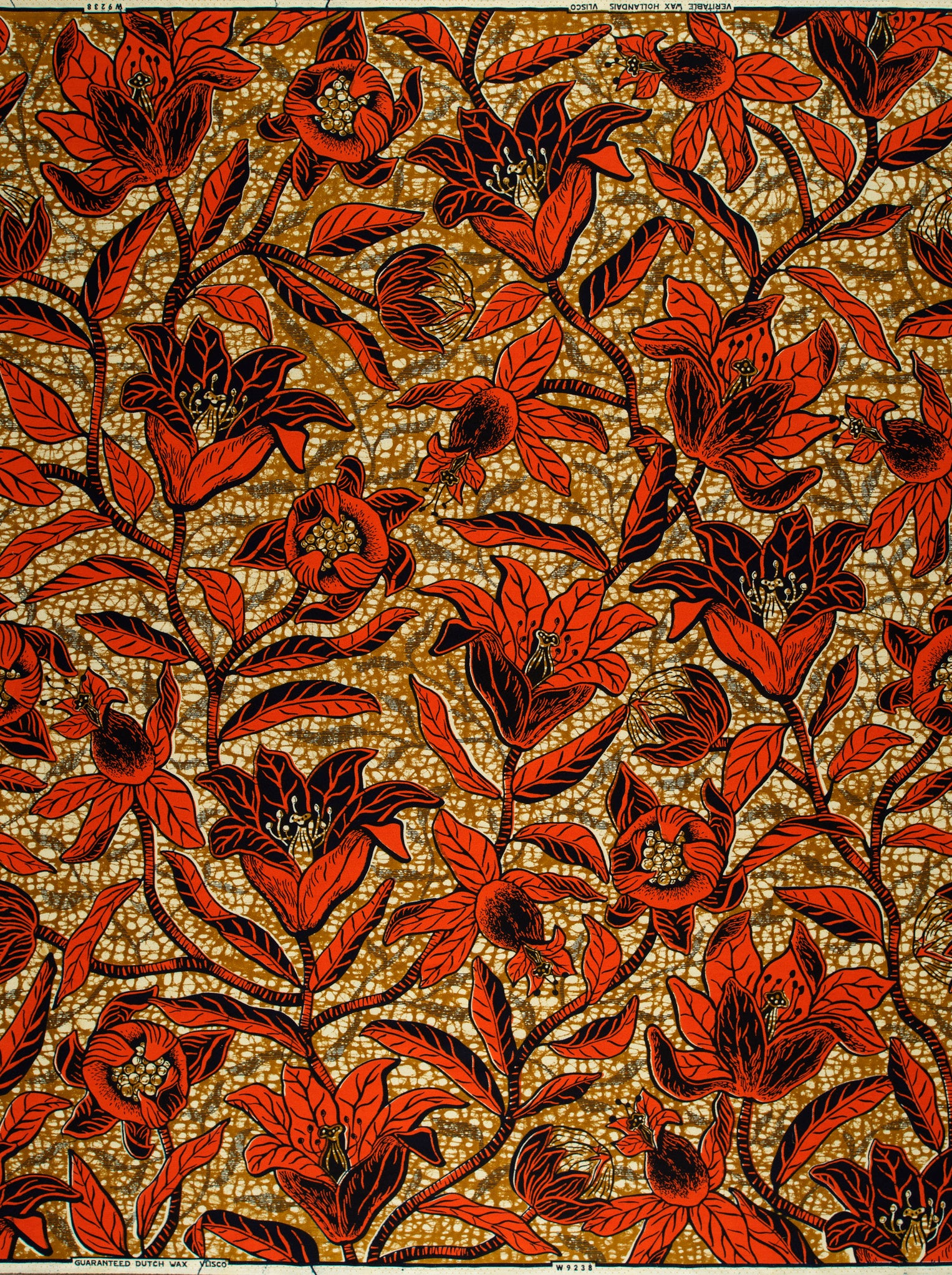 Wax Hollandais | VLW9238.008