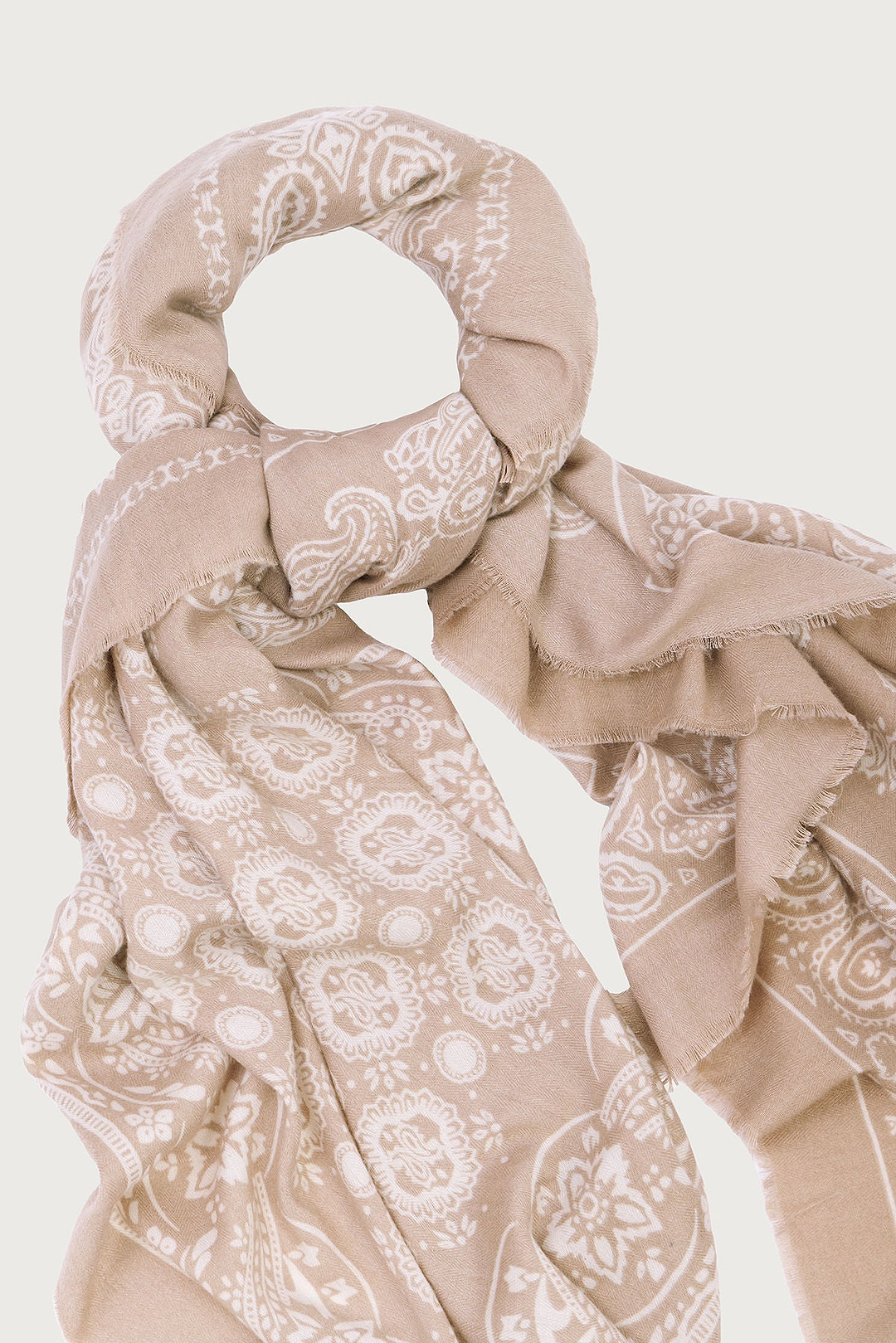 Paisley Border Fringe Scarf