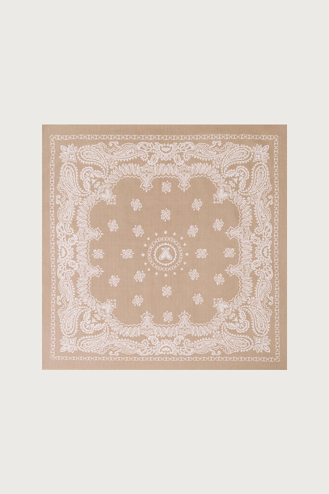 Paisley Border Fringe Scarf