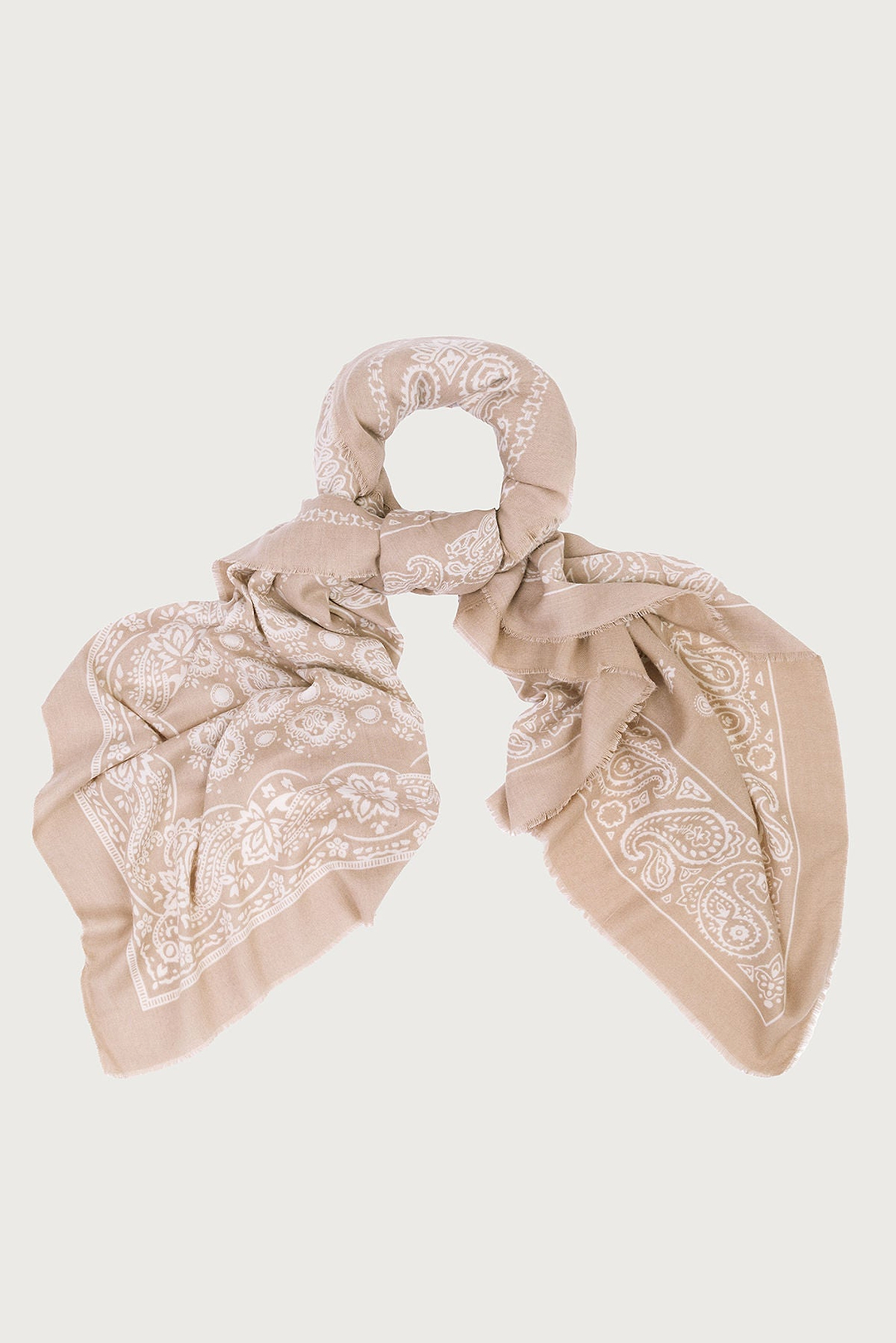 Paisley Border Fringe Scarf