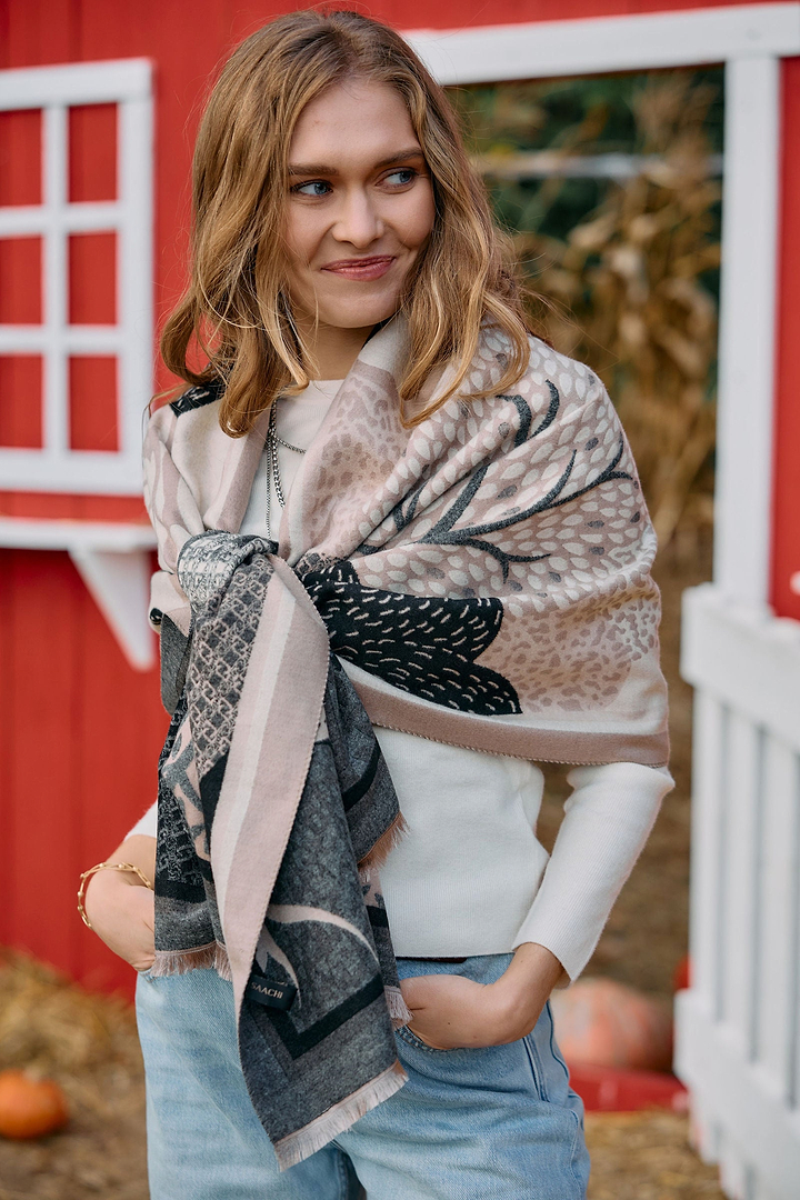 Nature Reversible Scarf in Beige