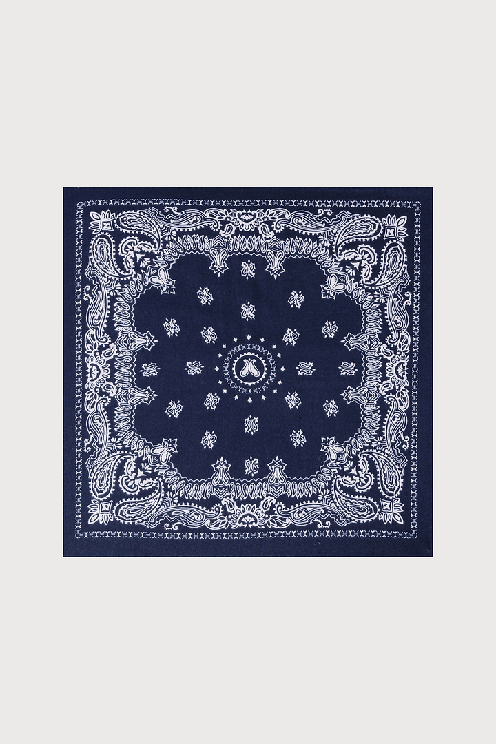 Paisley Border Fringe Scarf