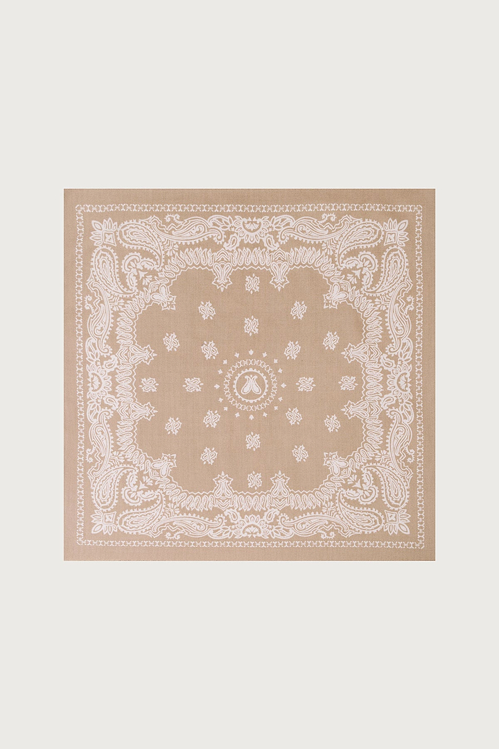Paisley Border Fringe Scarf