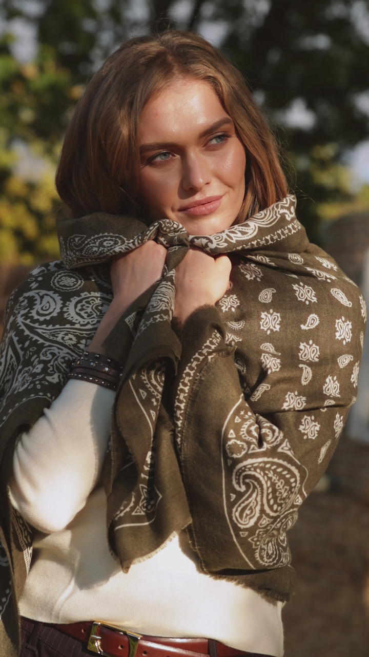 Paisley Border Fringe Scarf