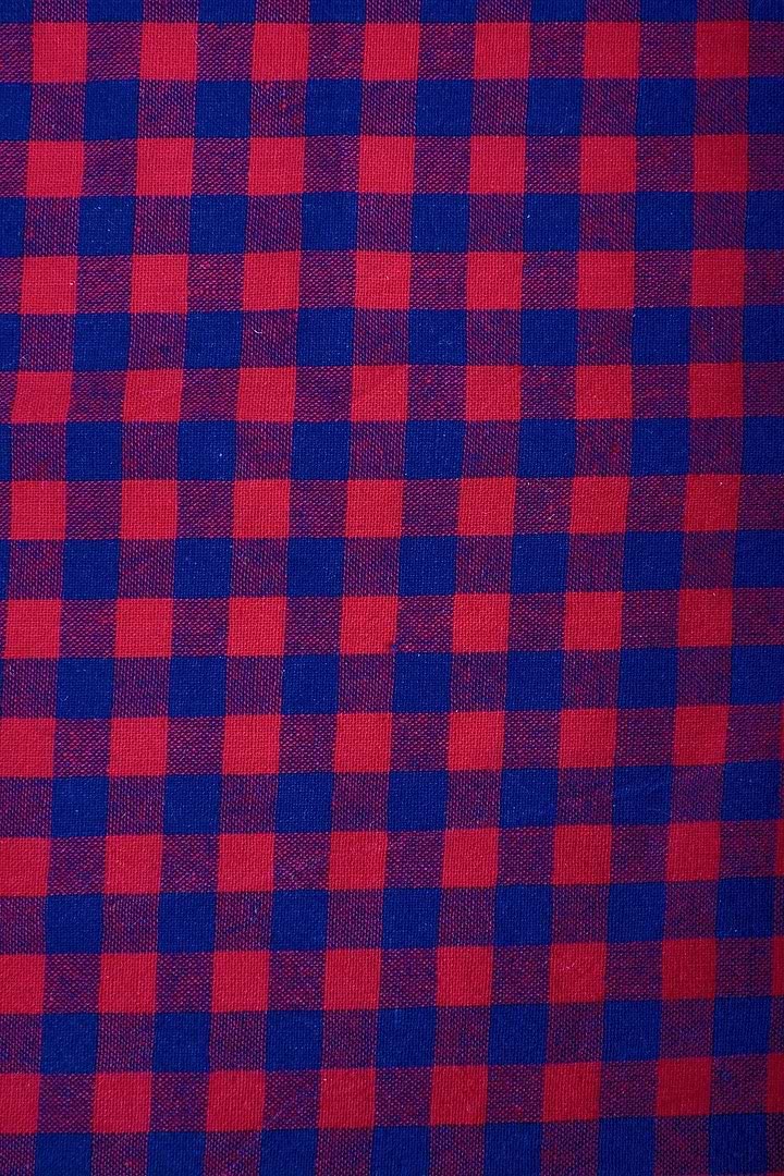 Scough Red Gingham Bandana with Filter Crimson