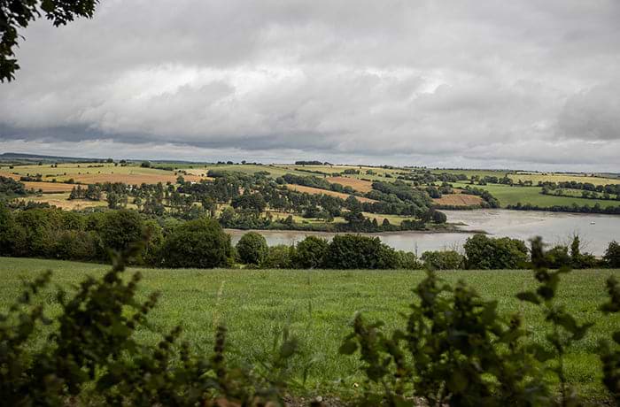 Carbery Weideland Protein aus Irland