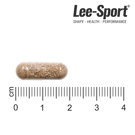 Ashwaganhda Sensoril, Size