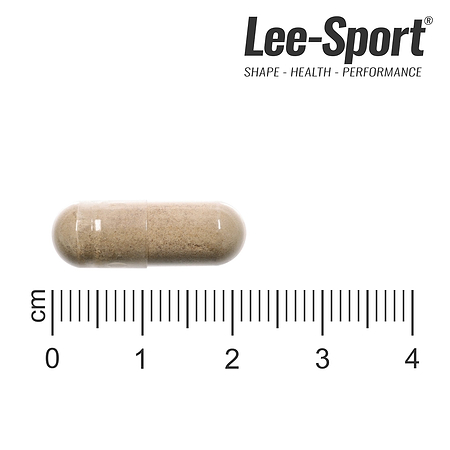 Bio Ashwagandha KSM 66, Size