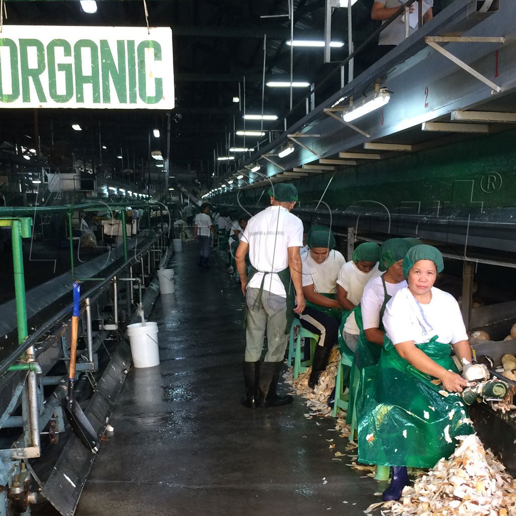 Lee-Sport® Bio Kokosöl wird aus frischen Bio Kokosnüssen in Handarbeit hergestellt.