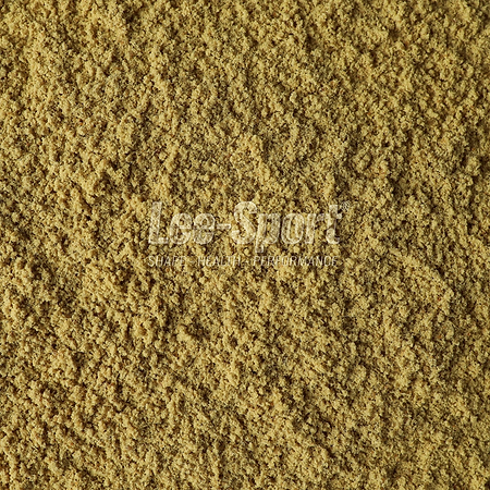 Lee-Sport Bio Kürbiskern Protein Natural