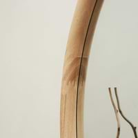 Closeup of Full Length Natural Organic Irregular Wooden Mirror irregular curves