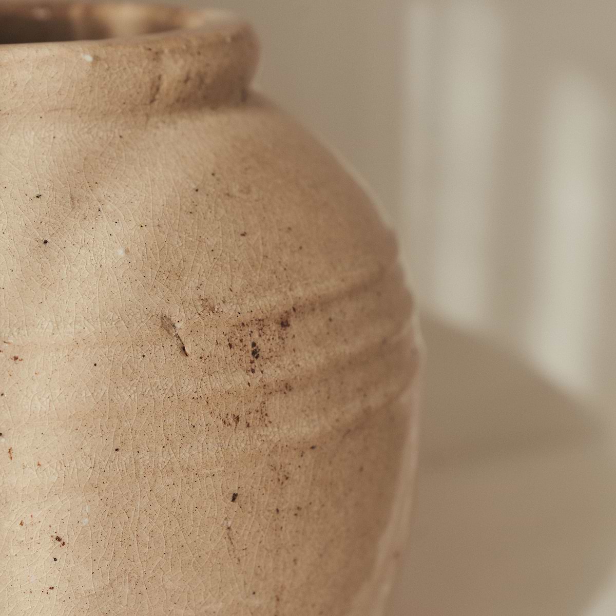 Cyra - Beige Gloss Ceramic Vase