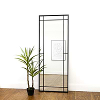 Black industrial full length metal mirror leaning against wall with plant