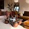 Melrose - Dark Emperador Marble Rectangular Dark Wood Premium Coffee Table