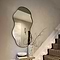 Ava - Black Pond Shaped Irregular Mirror 125cm x 65cm