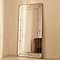 Teramo - Full Length Gold Antique Glass Metal Mirror 180cm x 90cm