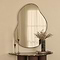 Ava - Black Pond Shaped Irregular Mirror 100cm x 70cm