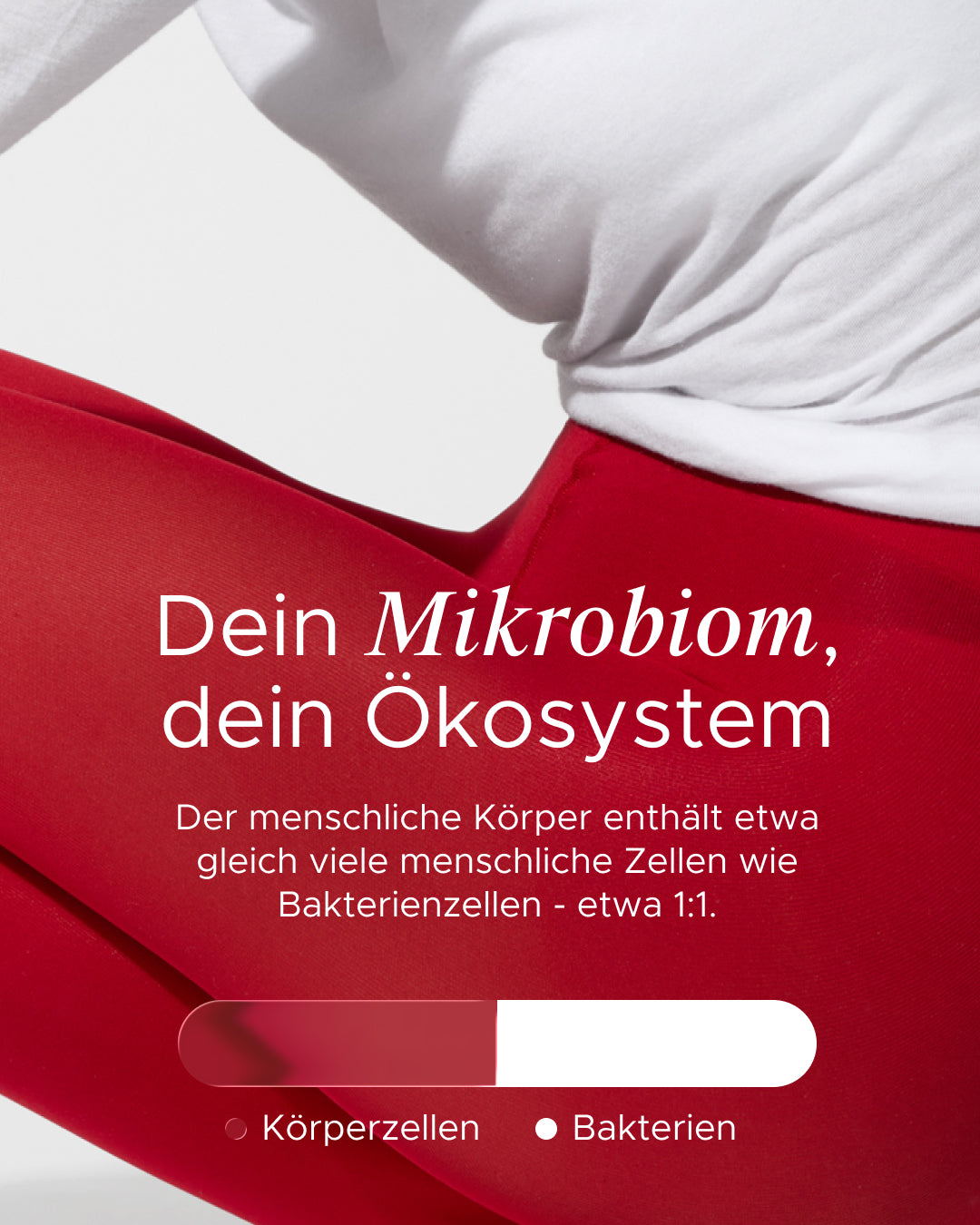 Dailybacs® Women